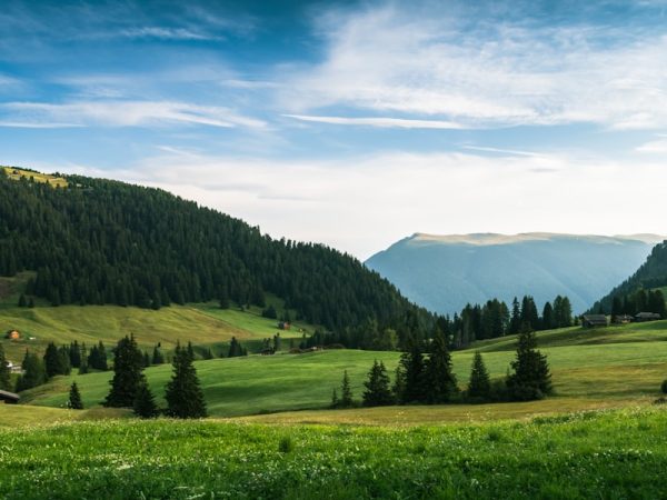 Photo RPA – zrobotyzowane procesy biznesowe Keyword: RPA